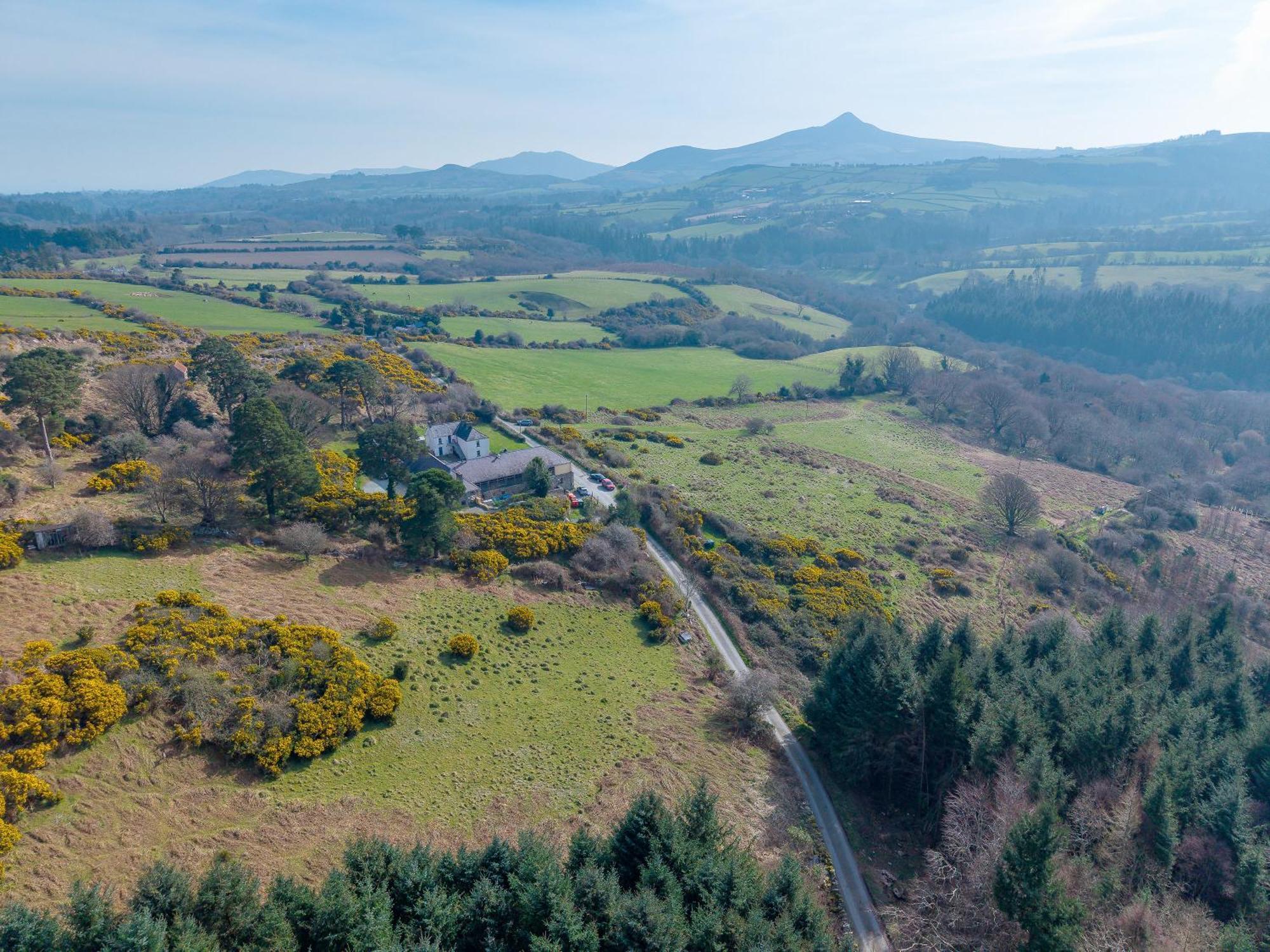 Knockree *